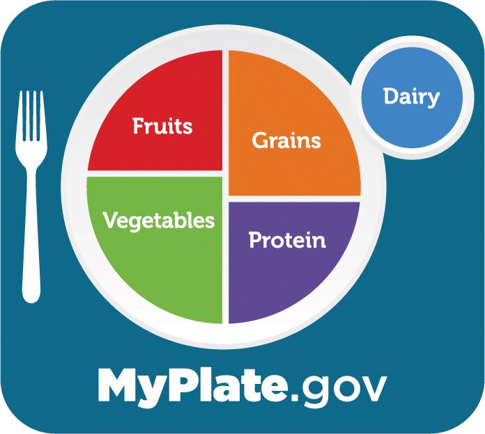 US Dietary Guidelines sideline MyPlate in favor of inverted food pyramid