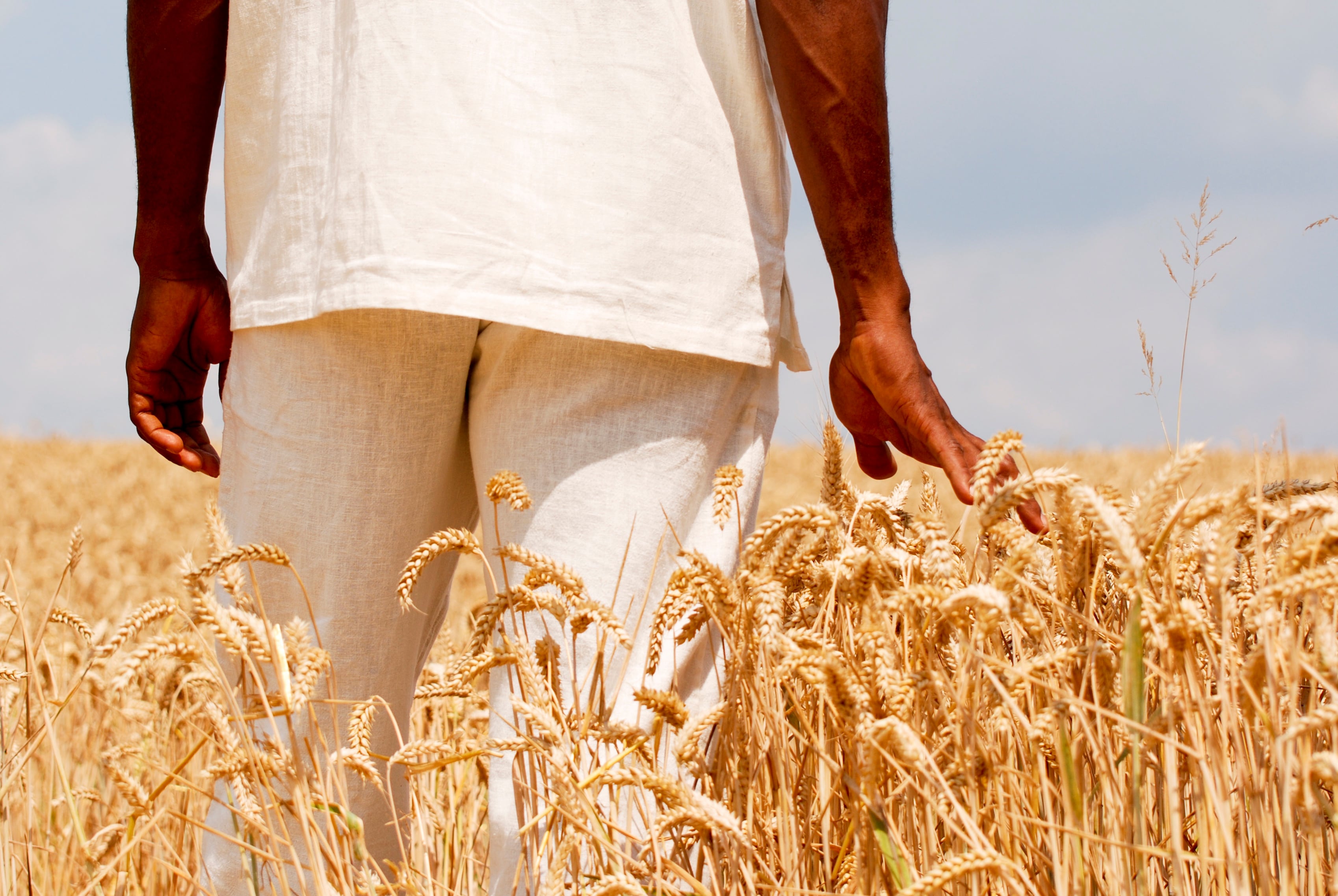 Africa’s wheat import dependence leaves bread prices exposed to global shocks
