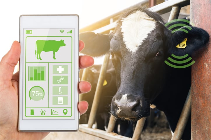 The next five years will eclipse the last 25: Steve McLean on agriculture’s defining decade