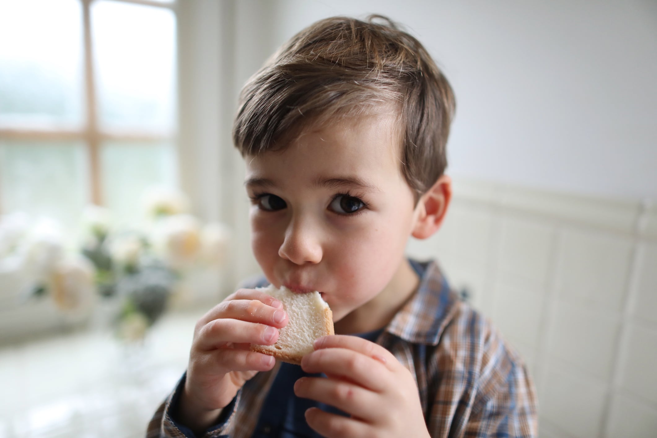 Florida’s glyphosate bread test has bakers on edge