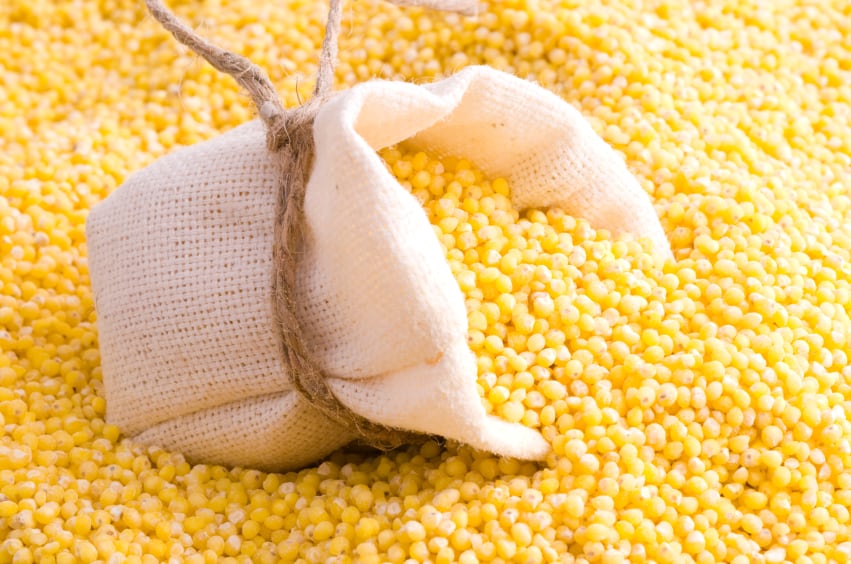 Millet mania: India’s Yellowfield pushes ancient grain as affordable, nutritious alternative