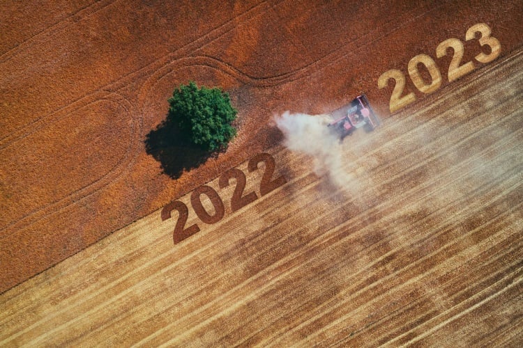 The story of wheat features resilience as its main character