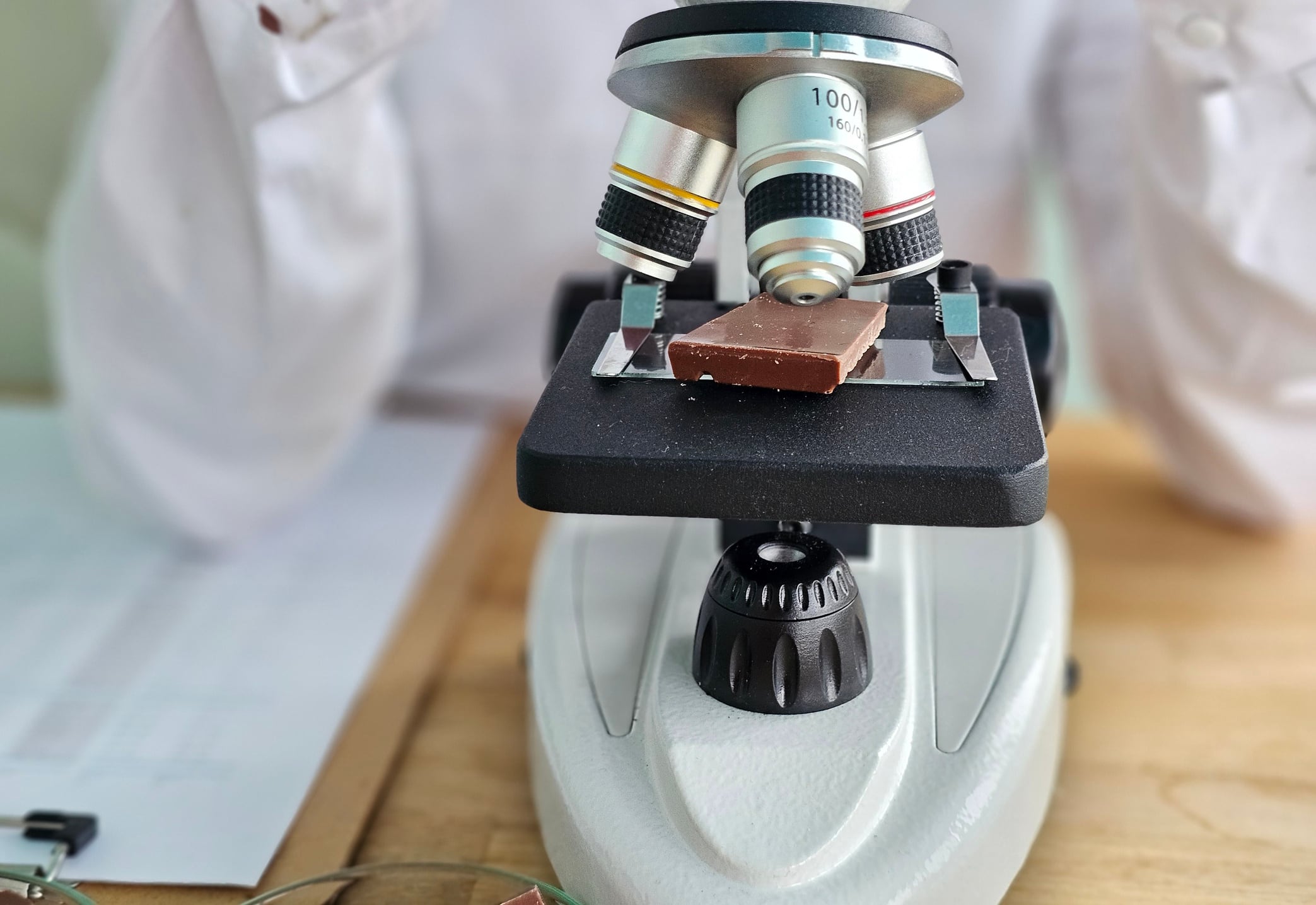 Chocolate without trees? The science racing to reinvent cocoa